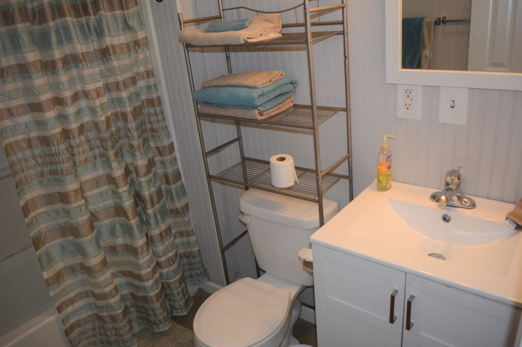 Family & Friend Fave Bathroom Sink Area